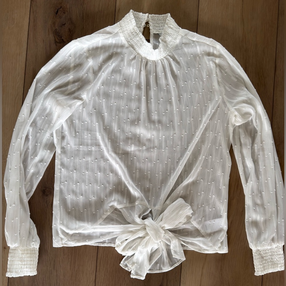 Express White Sheer Dot Tie-Front Blouse